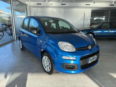 Fiat Panda 1.0 firefly hybrid Icon s&s 70cv usata