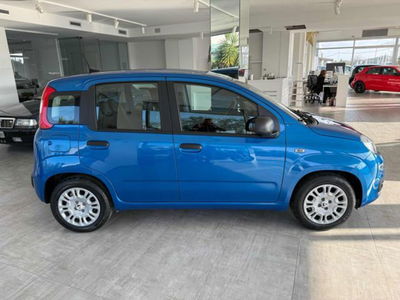 Fiat Panda 1.0 firefly hybrid Icon s&s 70cv usata