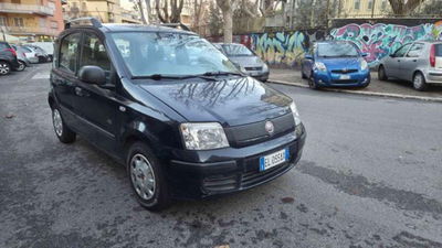 Fiat Panda 1.2 Lounge usata