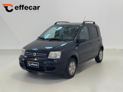 Fiat Panda 1.2 4x4 usata