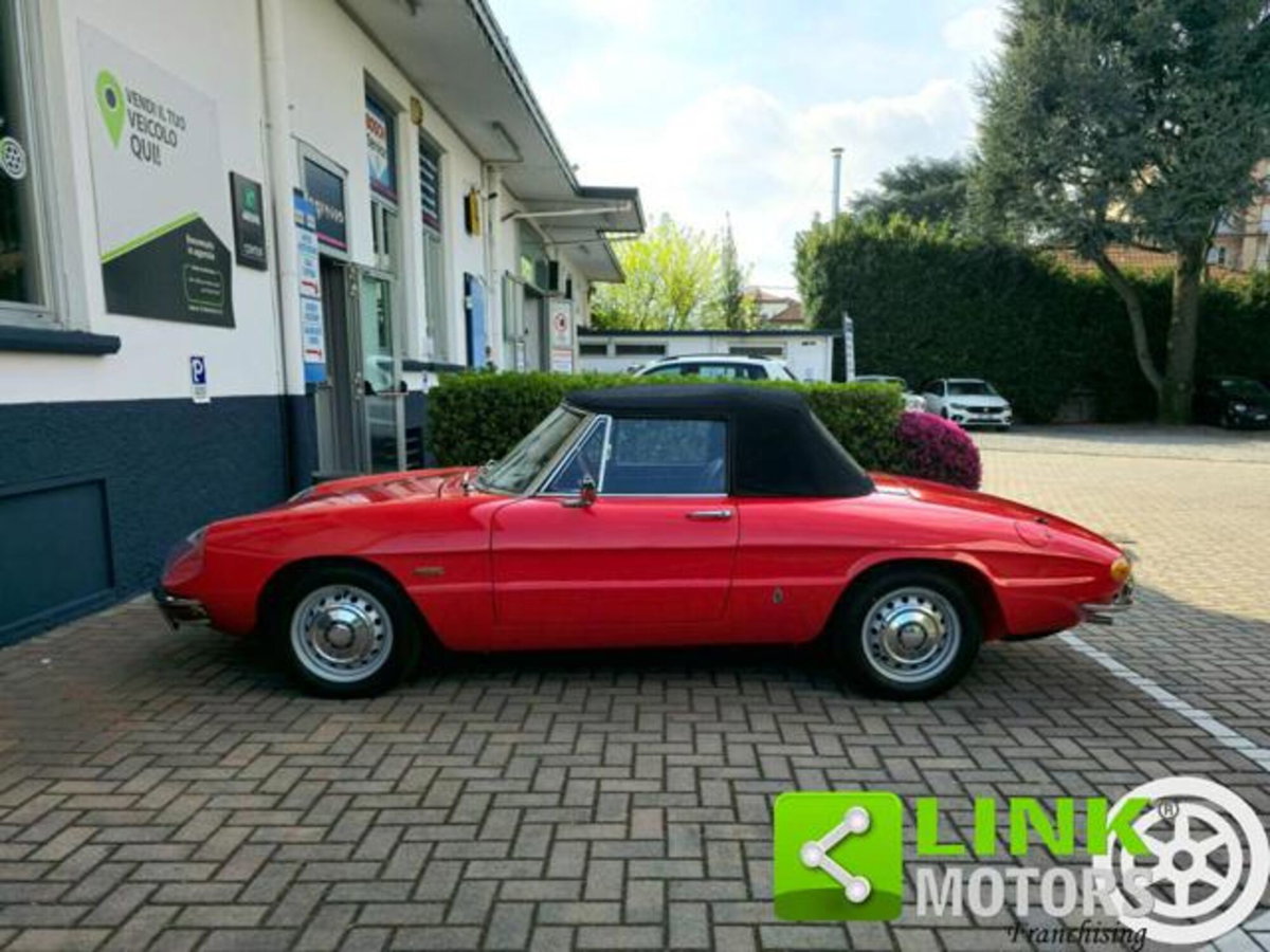 Alfa Romeo Spider 1750 TBi (4)