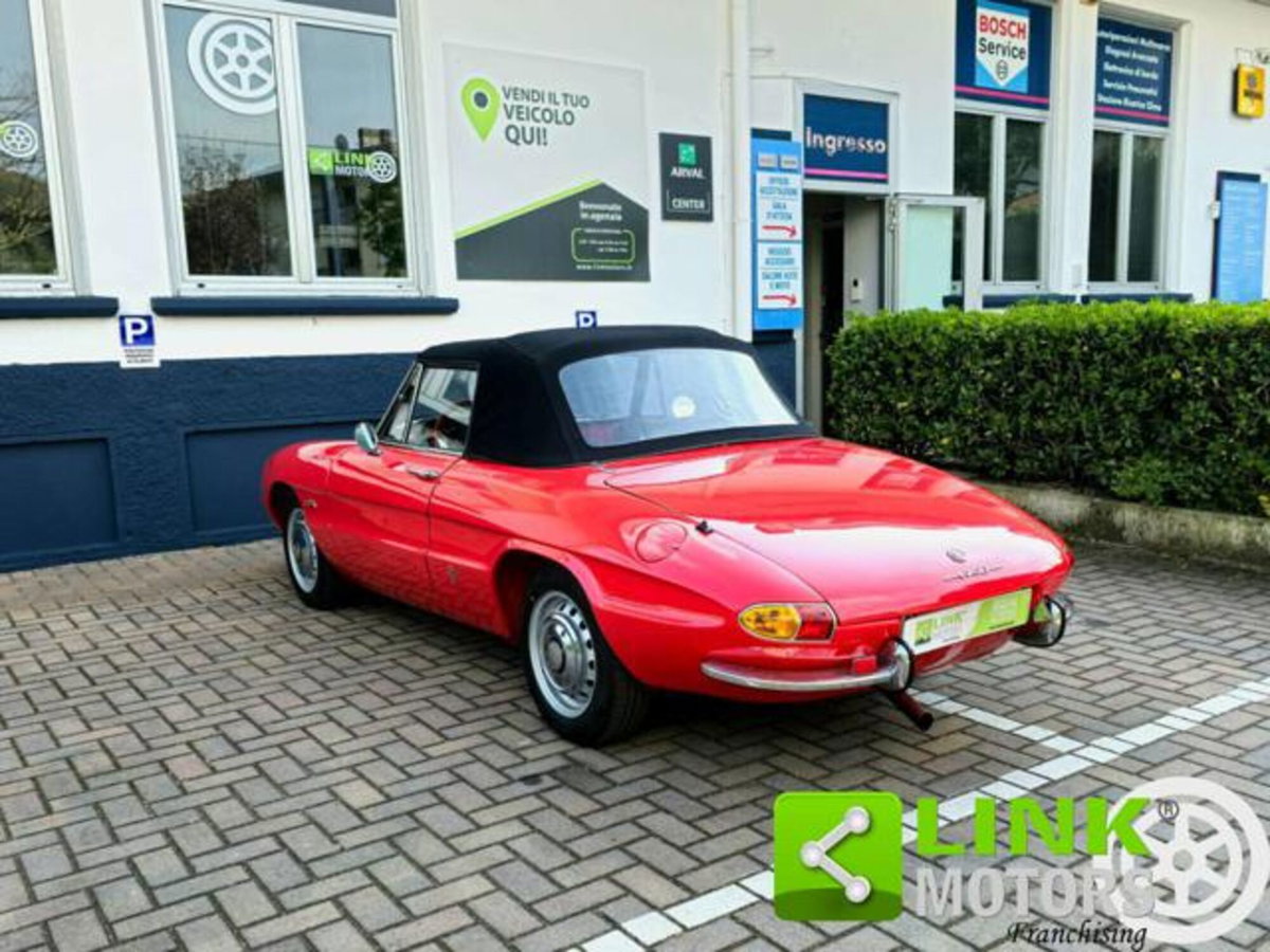 Alfa Romeo Spider 1750 TBi (5)