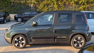 Fiat Panda Cross 1.0 firefly hybrid Cross s&s 70cv 5p.ti (6)