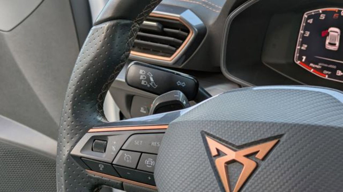 Cupra Formentor Formentor 2.0 tdi 4drive 150cv dsg (13)
