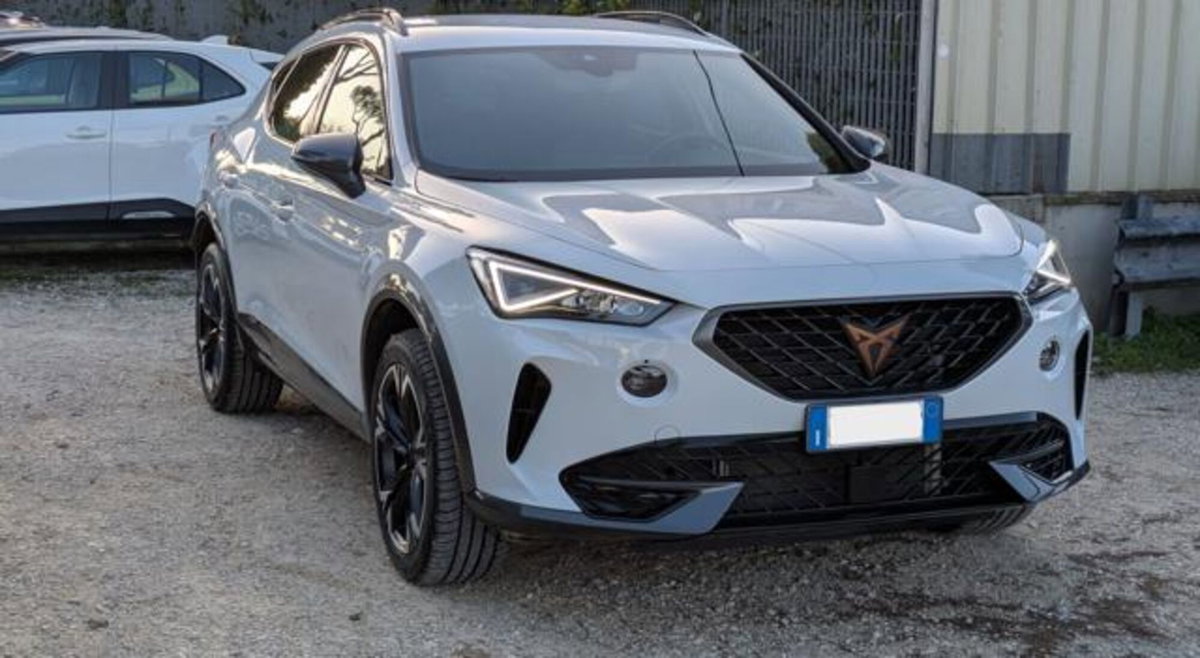 Cupra Formentor Formentor 2.0 tdi 4drive 150cv dsg (3)