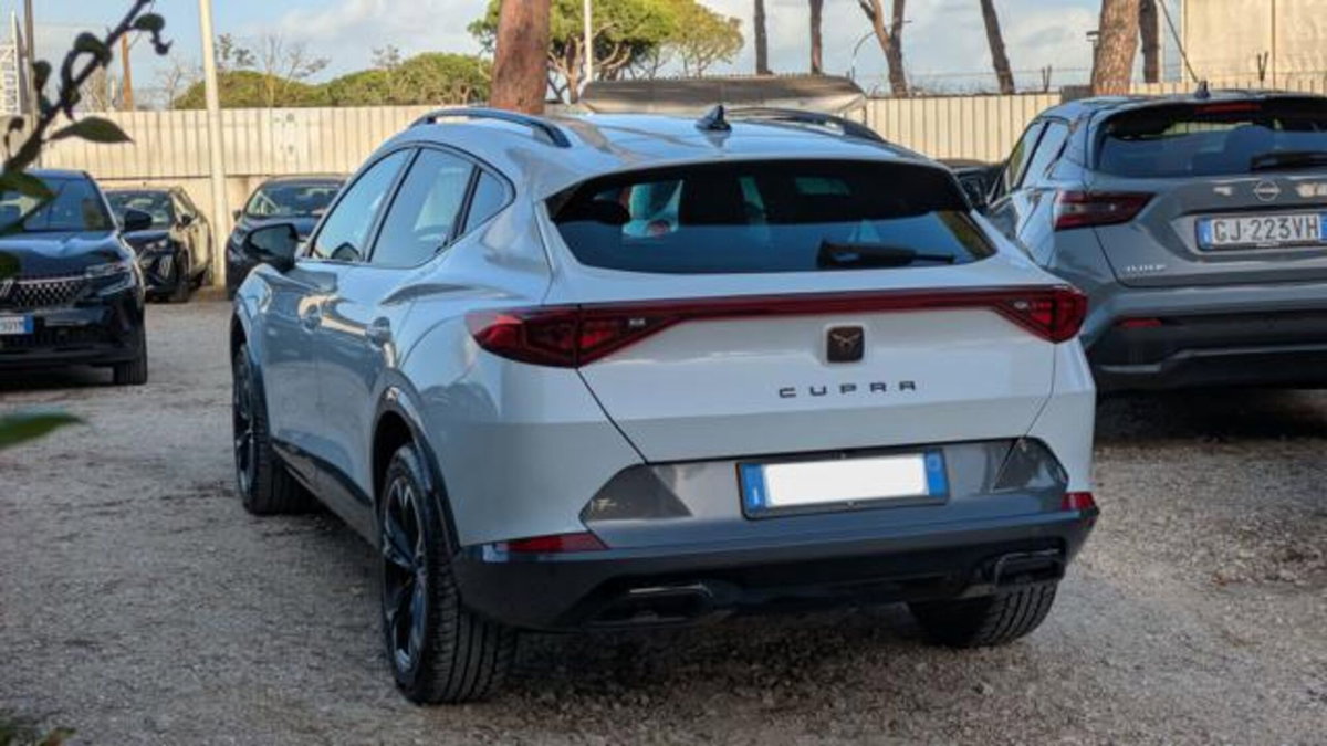 Cupra Formentor Formentor 2.0 tdi 4drive 150cv dsg (6)