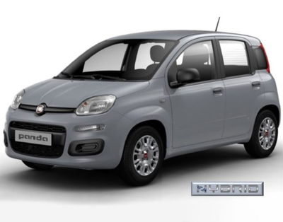 Fiat Panda 1.0 firefly hybrid s&s 70cv 5p.ti usata
