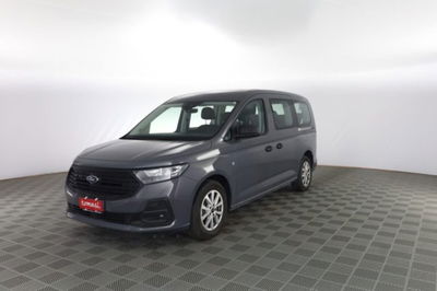 Ford Tourneo Connect 2.0 EcoBlue 102 CV Plus usata