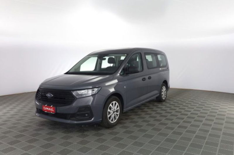 Ford Tourneo Connect 2.0 EcoBlue 102 CV Plus