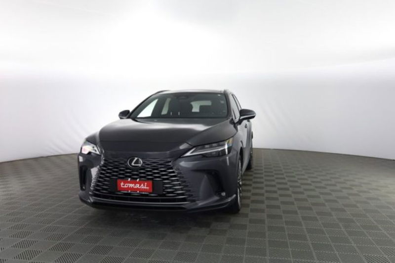 Lexus RX Hybrid Luxury