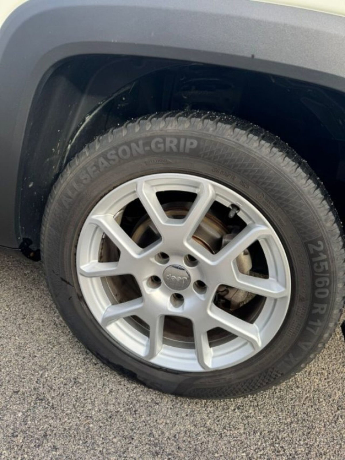 Jeep Renegade 1.6 Mjt 120 CV Limited (8)