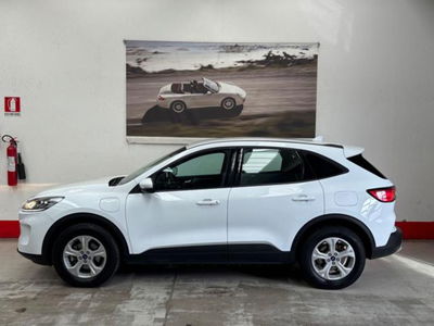 Ford Kuga 2.5 Plug In Hybrid 225 CV CVT 2WD usata