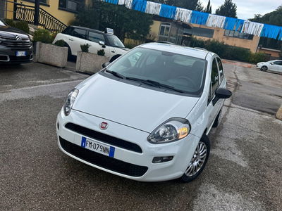 Fiat Punto 1.3 MJT II S&S 95 CV 5 porte Street usata