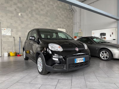 Fiat Panda 1.0 FireFly S&S Hybrid usata