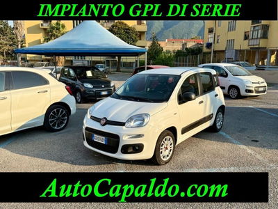 Fiat Panda 1.2 EasyPower Easy usata
