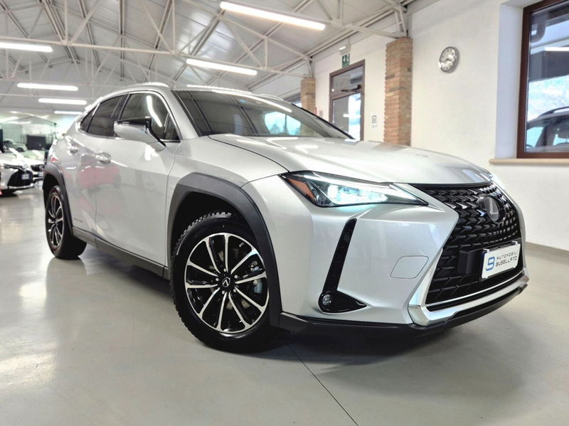 Lexus UX Hybrid Business