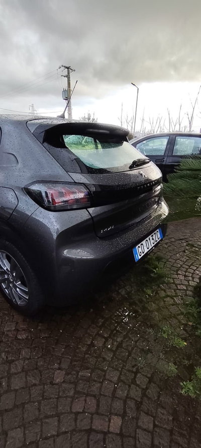 Peugeot 208 PureTech 75 Stop&Start 5 porte Active Pack (3)