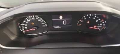 Peugeot 208 PureTech 75 Stop&Start 5 porte Active Pack (8)