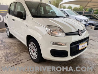 Fiat Panda 1.2 EasyPower Easy usata