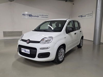 Fiat Panda 1.0 FireFly S&S Hybrid Easy usata
