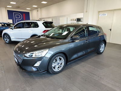 Ford Focus 1.5 EcoBlue 95 CV 5p. usata