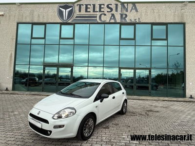Fiat Punto 1.3 MJT 85CV S&S 5 porte Van Easy 4 posti E5+ usata