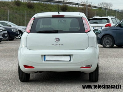 Fiat Punto 1.3 MJT 85CV S&S 5 porte Van Pop 4 posti E5+ (7)