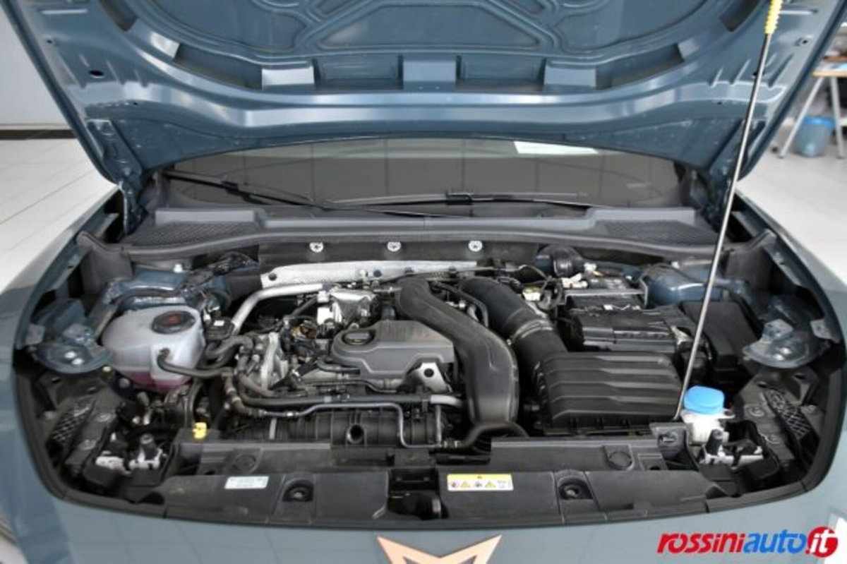 Cupra Formentor Formentor 1.5 TSI (17)