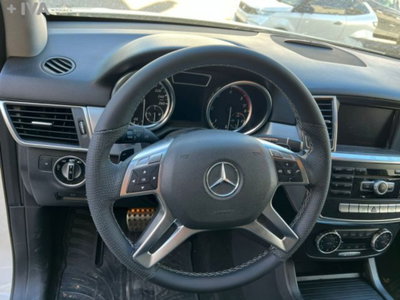 Mercedes-Benz Classe ML 250 BlueTEC 4Matic Premium (20)