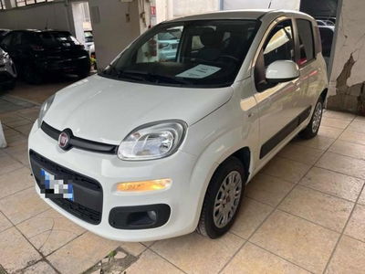 Fiat Panda 1.2 usata