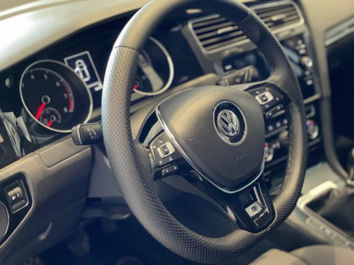 Volkswagen Golf 1.4 TGI 5p. Trendline BlueMotion (7)