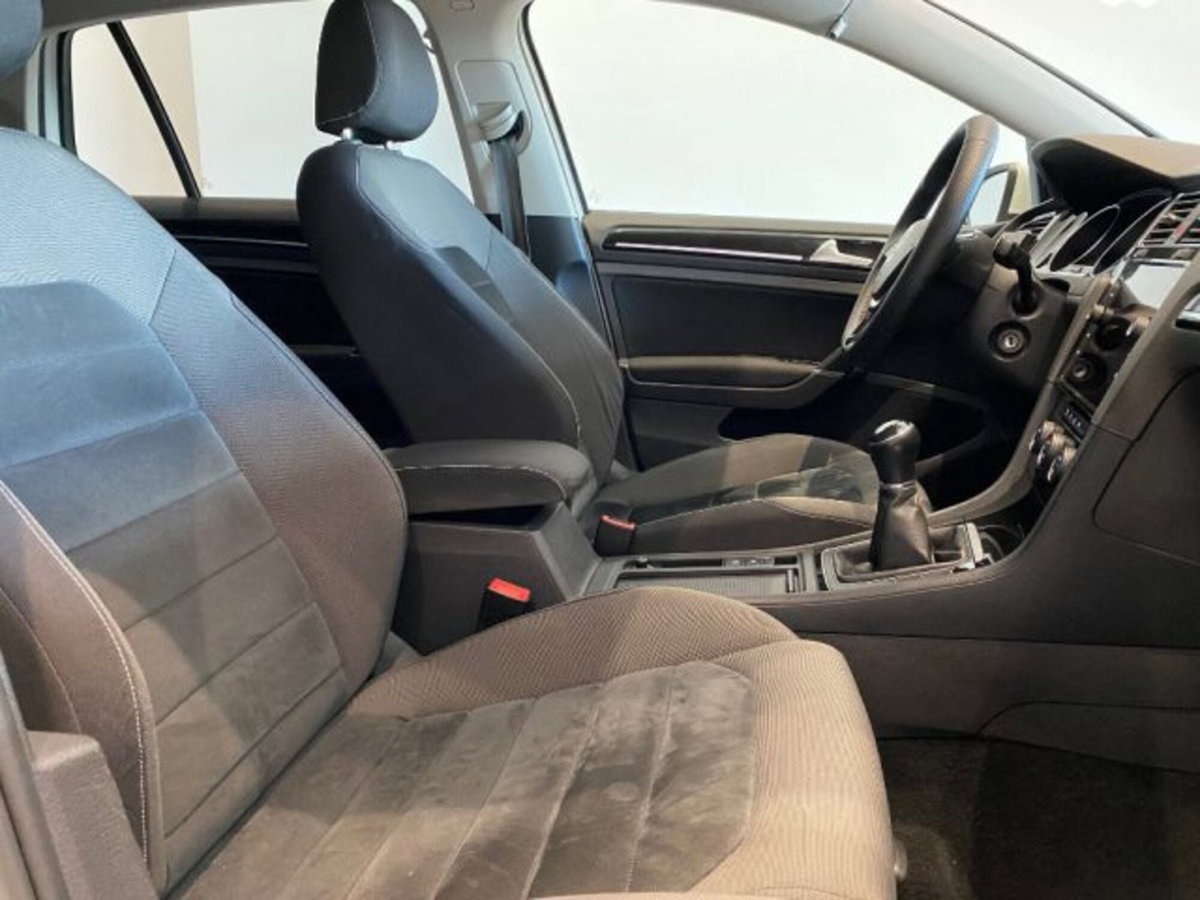 Volkswagen Golf 1.4 TGI 5p. Trendline BlueMotion (8)
