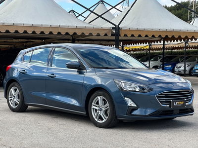 Ford Focus 1.5 EcoBlue 95 CV 5p. Business usata