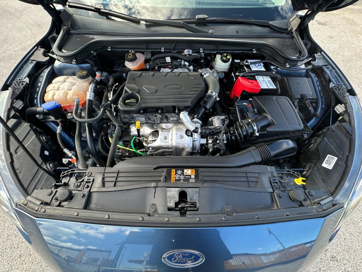 Ford Focus 1.5 EcoBlue 95 CV 5p. Business (10)