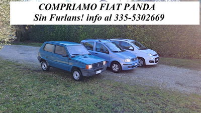 Fiat Panda 1000 S usata