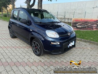 Fiat Panda 1.0 firefly hybrid s&s 70cv 5p.ti usata
