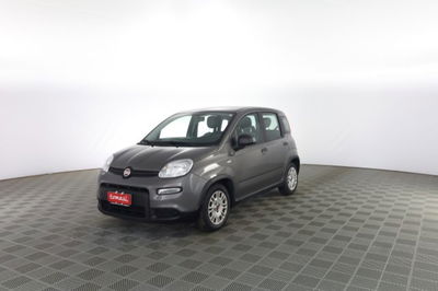 Fiat Panda Cross Cross 1.0 FireFly S&S Hybrid usata
