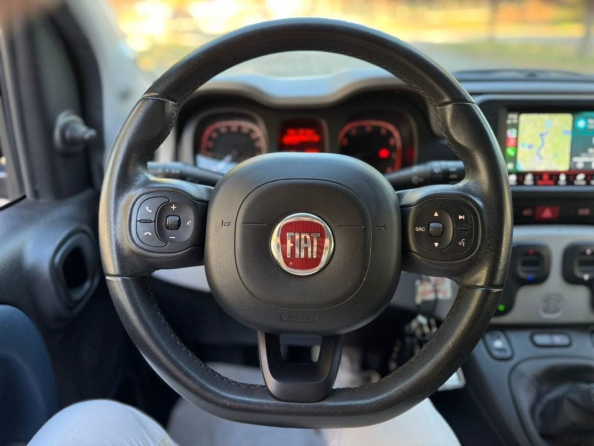 Fiat Panda 1.0 FireFly S&S Hybrid City Cross (8)