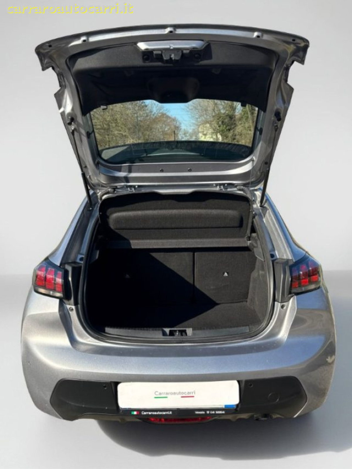 Peugeot 208 BlueHDi 100 Stop&Start 5 porte Allure Navi Pack (4)