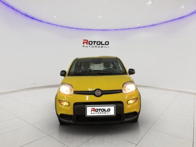 Fiat Panda 1.0 firefly hybrid Pop s&s 70cv (2)