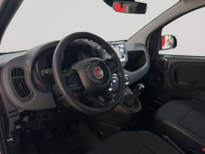 Fiat Panda 1.0 firefly hybrid Icon s&s 70cv (15)