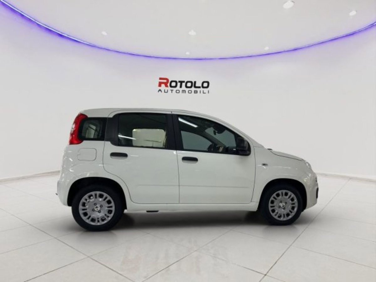 Fiat Panda 1.0 firefly hybrid Icon s&s 70cv (5)