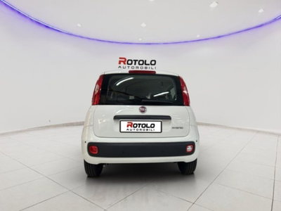 Fiat Panda 1.0 firefly hybrid Icon s&s 70cv (7)
