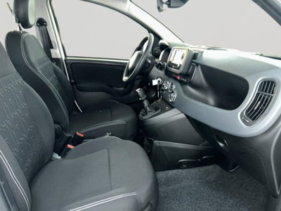 Fiat Panda 1.0 firefly hybrid Icon s&s 70cv (8)