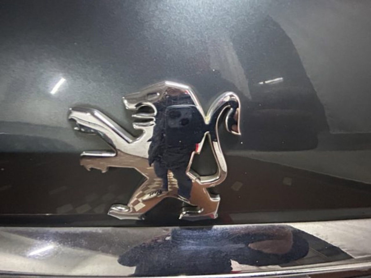 Peugeot 407 SW 2.0 HDi aut. Executive (18)