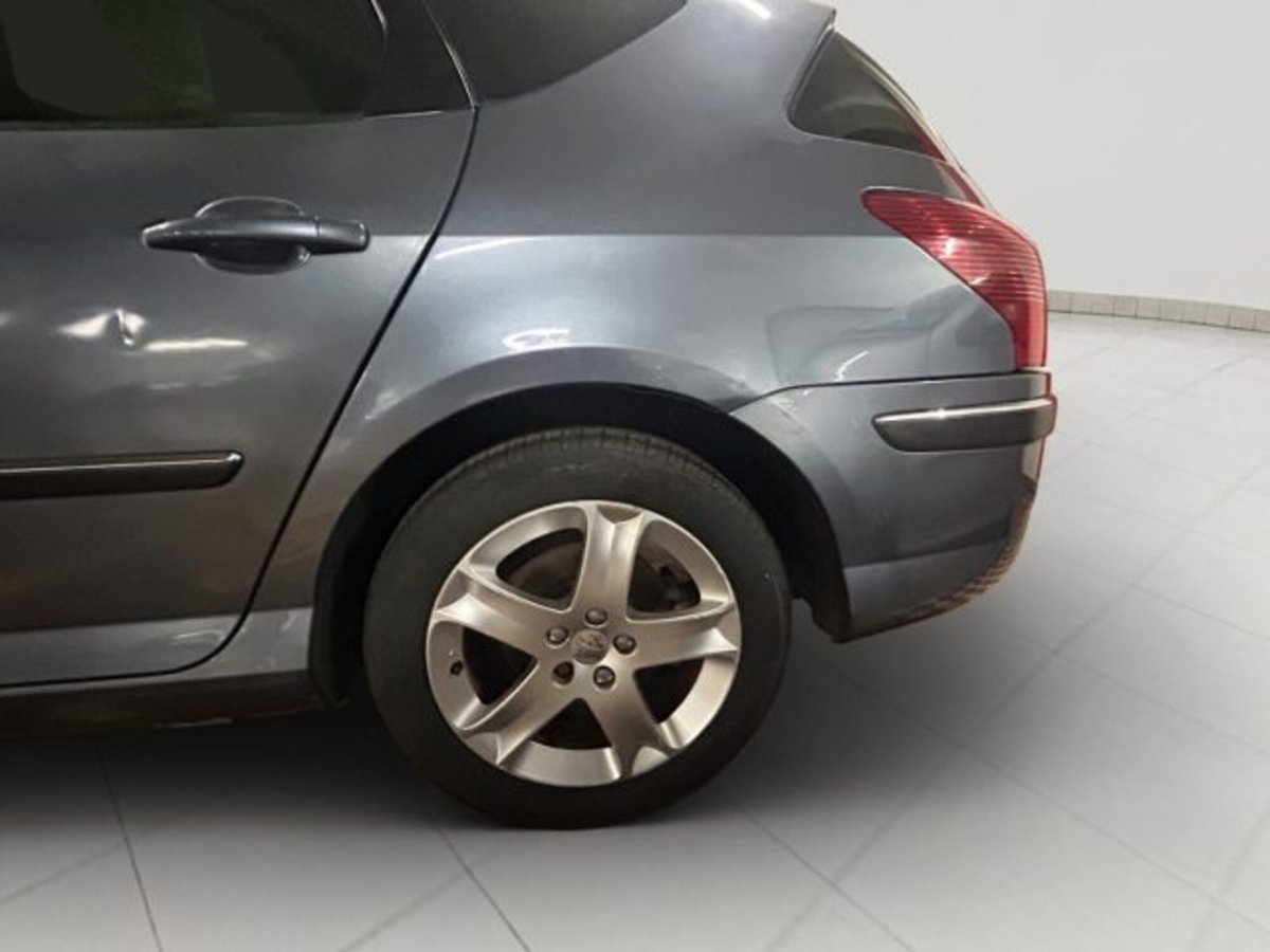 Peugeot 407 SW 2.0 HDi aut. Executive (19)