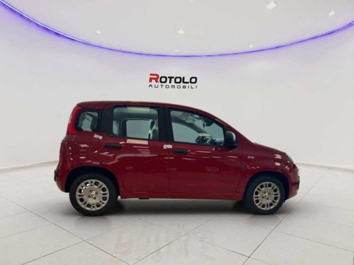 Fiat Panda 1.0 firefly hybrid Icon s&s 70cv (3)