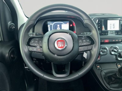 Fiat Panda 1.0 firefly hybrid Icon s&s 70cv (8)