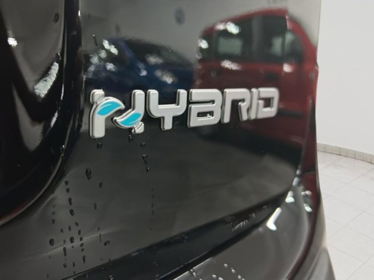 Fiat Panda 1.0 firefly hybrid Pop s&s 70cv (8)