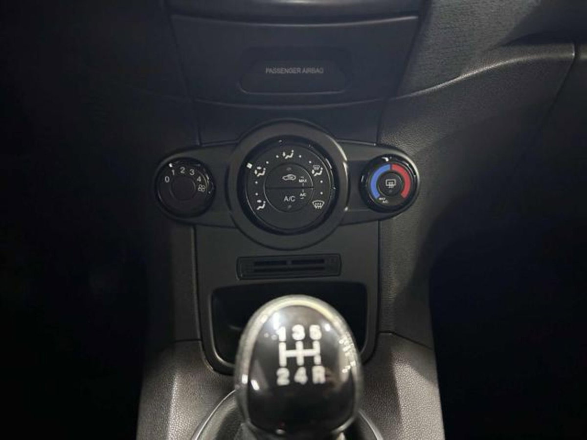 Ford Fiesta 1.4 3 porte Bz.- GPL Black & White Edition (16)